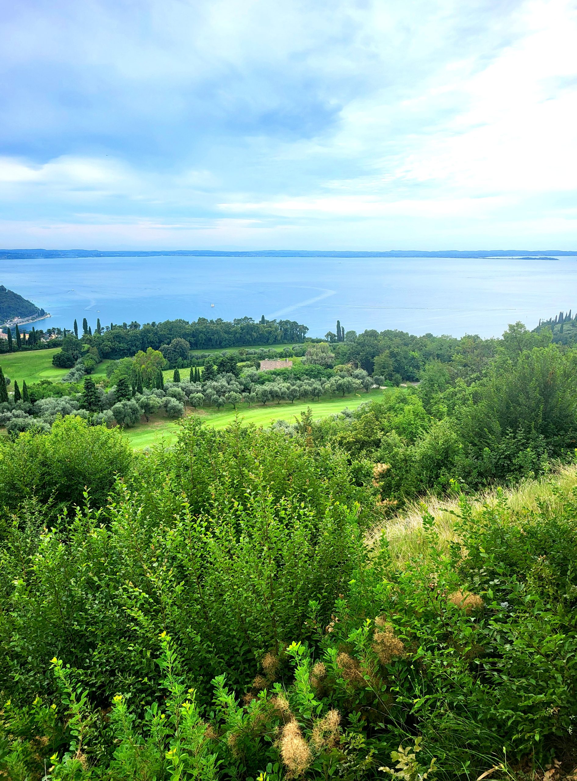 gallery-img