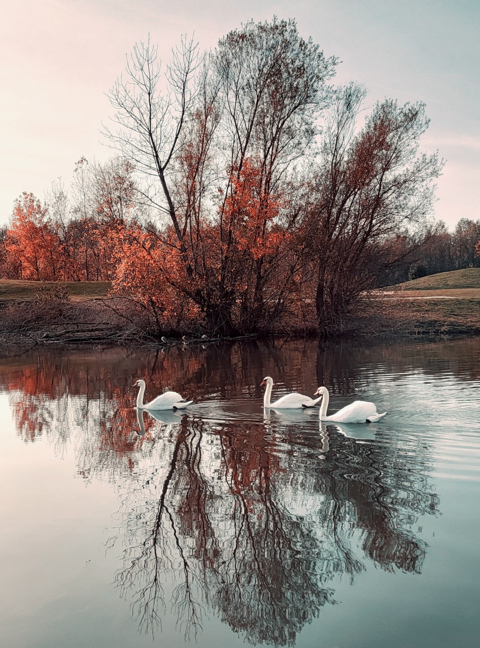 gallery-img