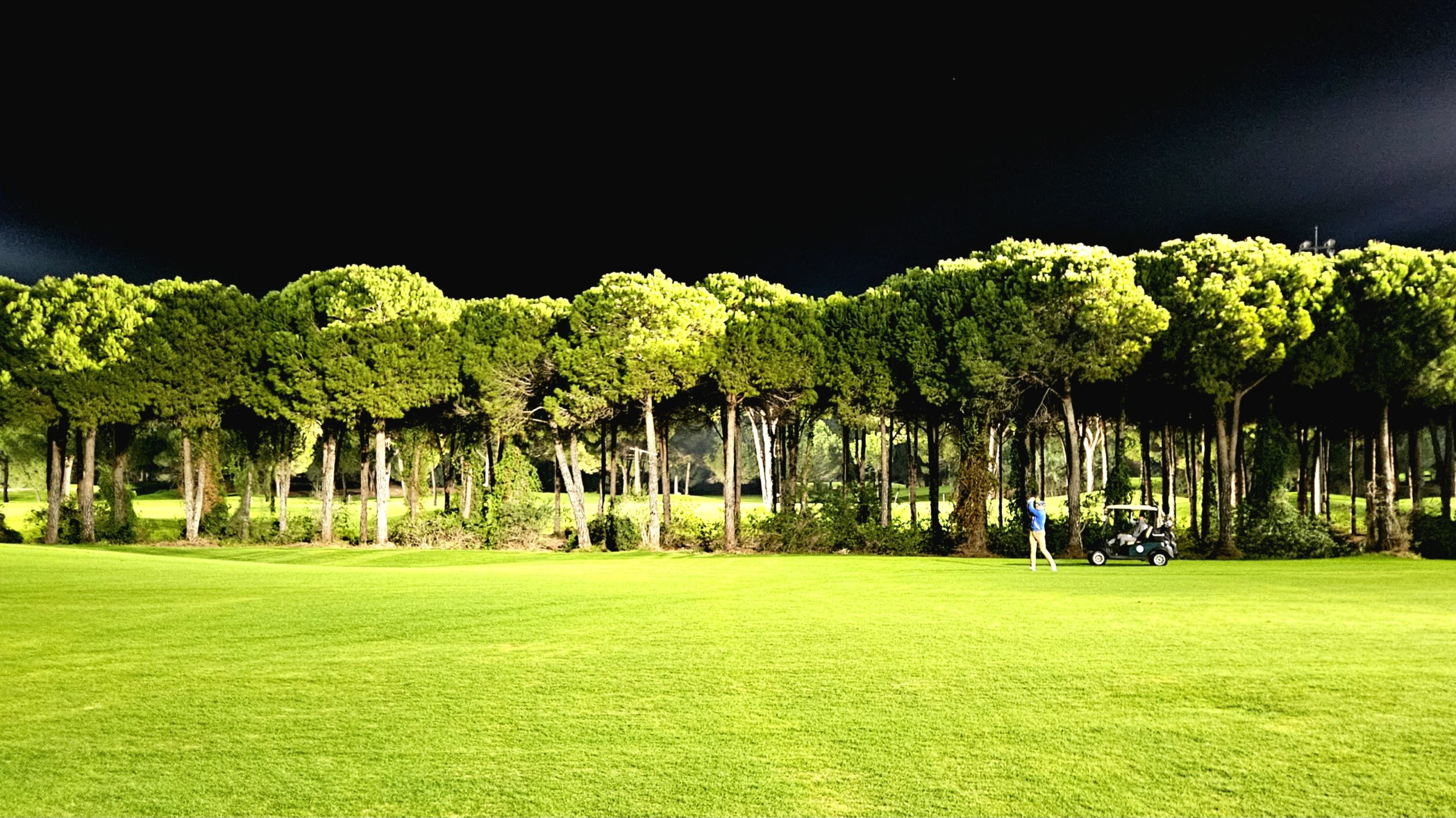 gallery-img