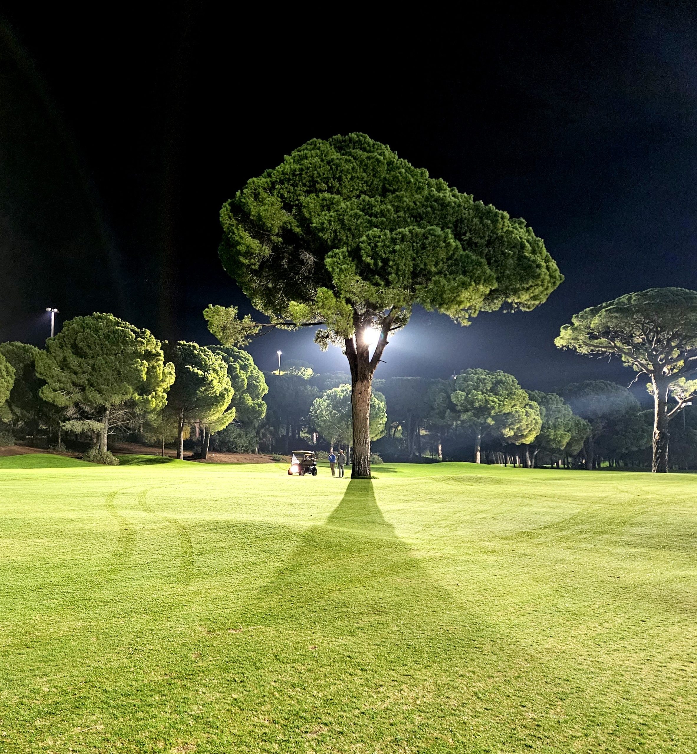 gallery-img