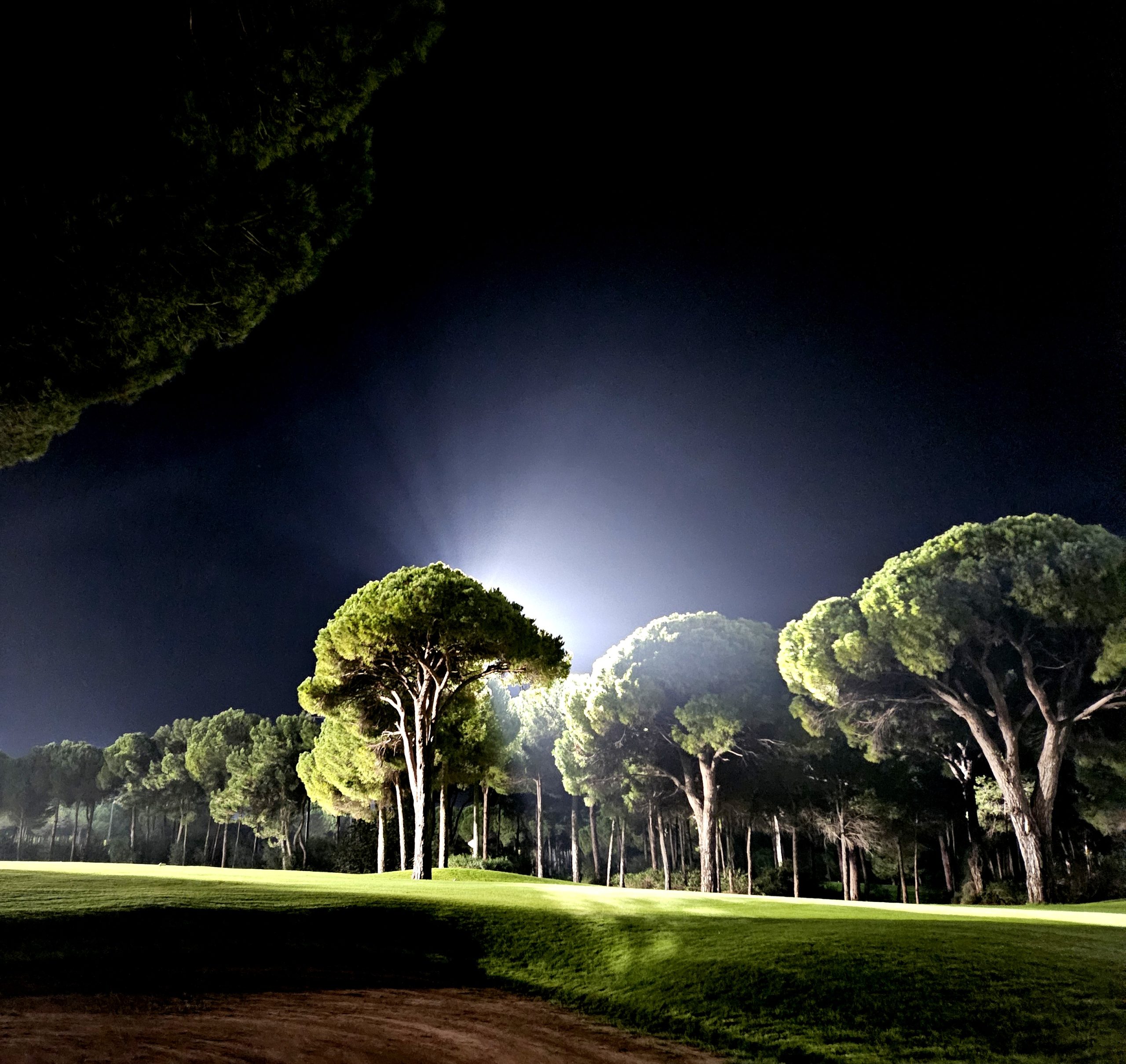 gallery-img