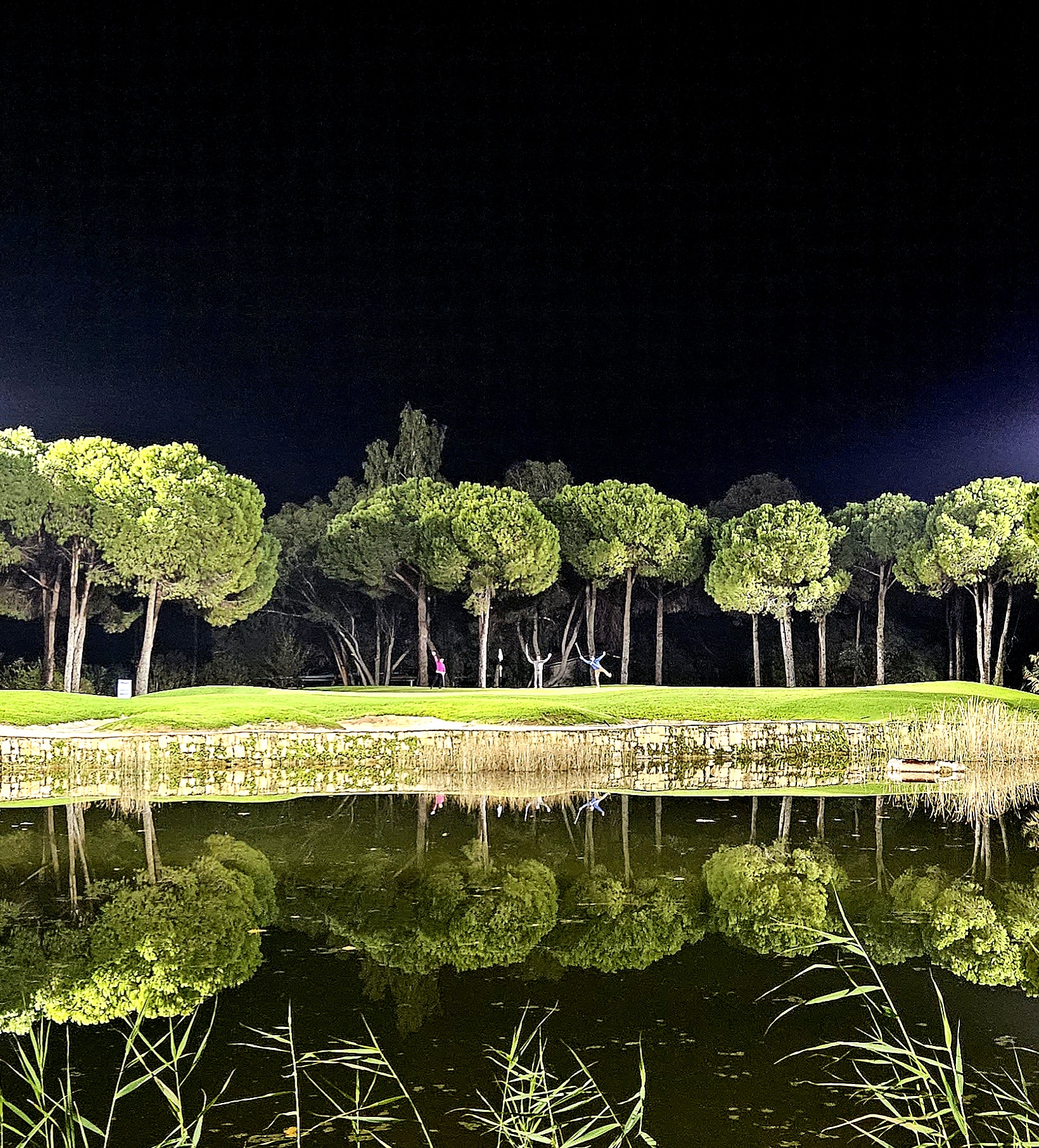 gallery-img