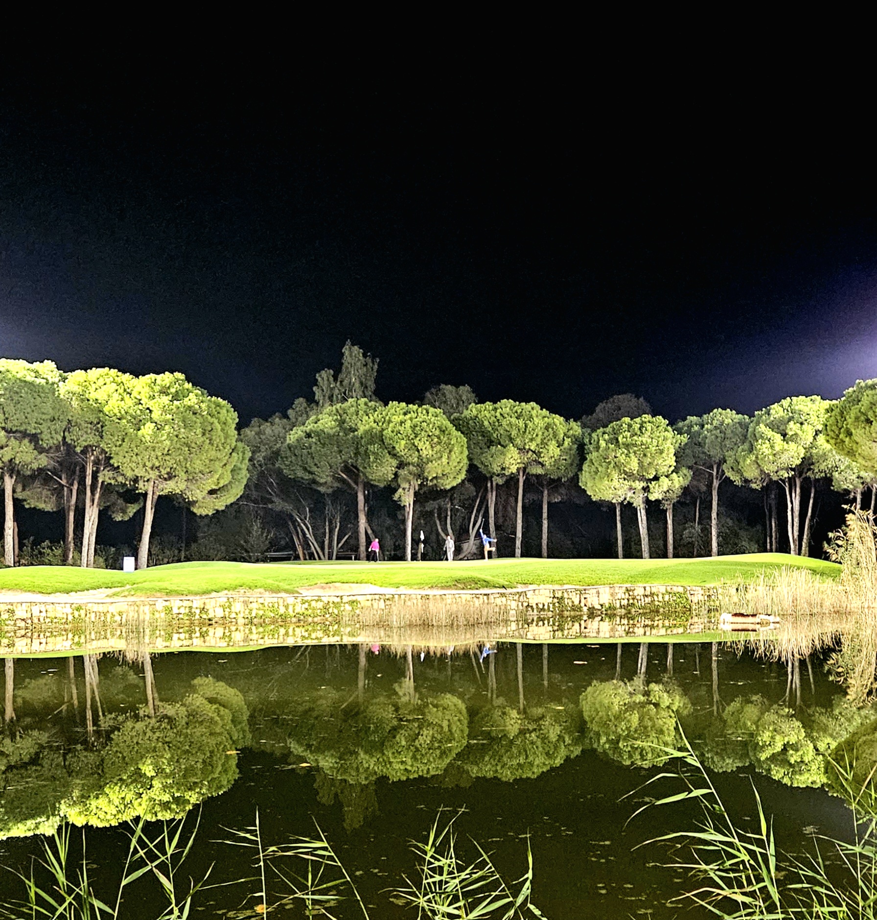 gallery-img