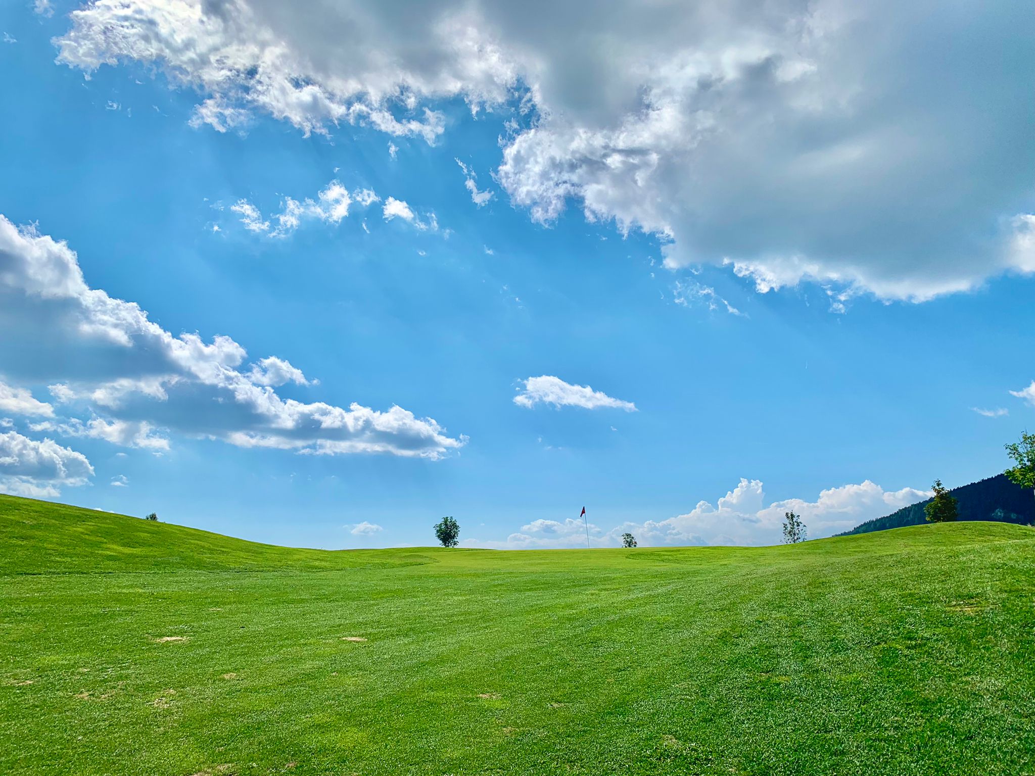 gallery-img